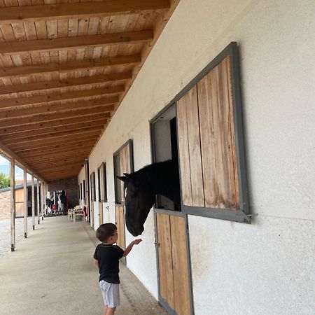 House Of Horses Shtepia E Kuajve Hotel Korce Ngoại thất bức ảnh