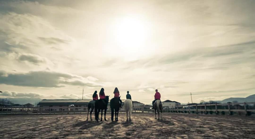 House Of Horses Shtepia E Kuajve Hotel Korce Ngoại thất bức ảnh