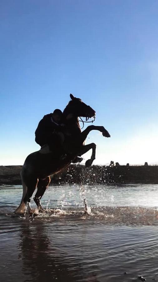 House Of Horses Shtepia E Kuajve Hotel Korce Ngoại thất bức ảnh