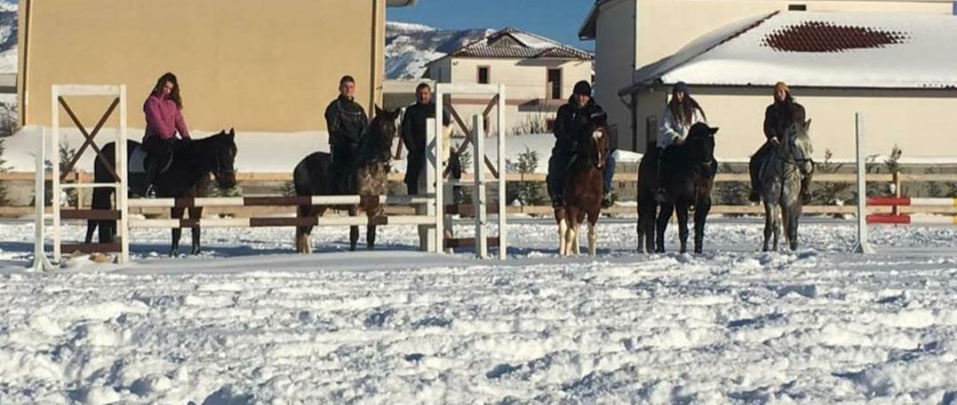 House Of Horses Shtepia E Kuajve Hotel Korce Ngoại thất bức ảnh