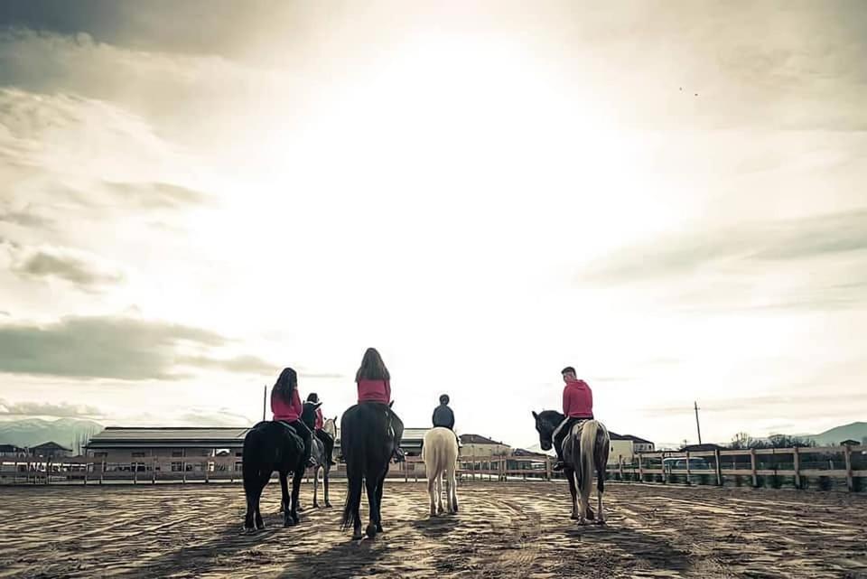 House Of Horses Shtepia E Kuajve Hotel Korce Ngoại thất bức ảnh
